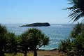 DSC_0019a (1)